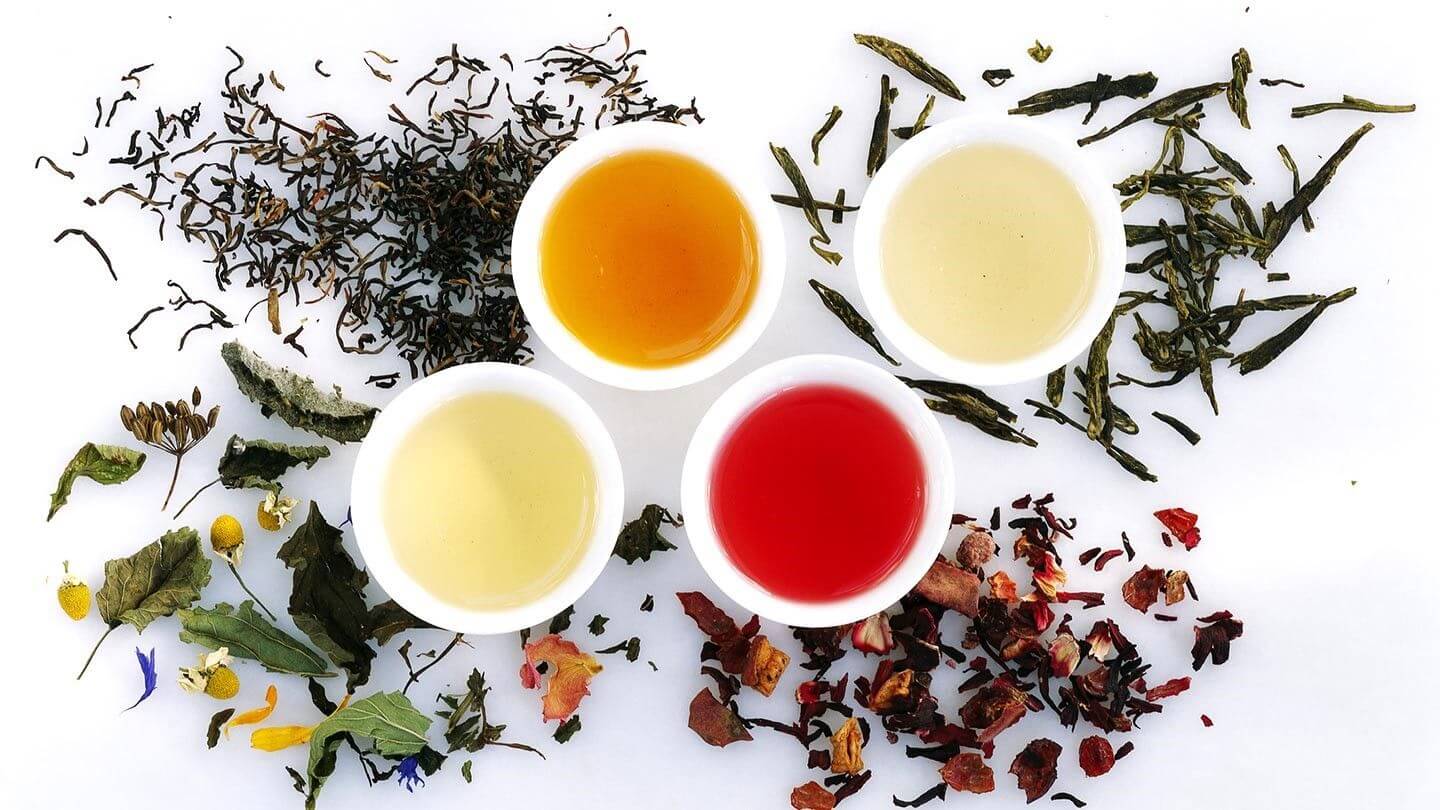 Wild Chrysanthemum Flower Tea