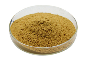 Organic Elderberry Extract