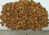 Organic Apricot Kernel