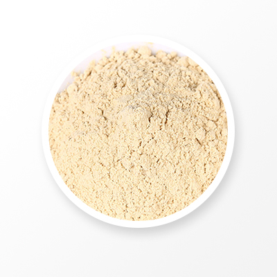 Shiitake Mushroom Powder 