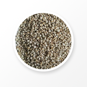 Coix Seed