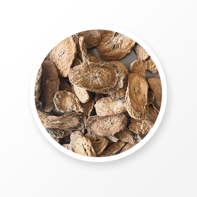Burdock Root 