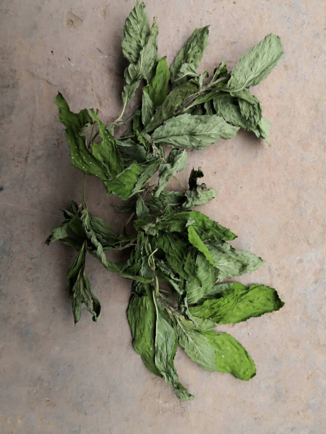 Peppermint Leaf Detox Tea